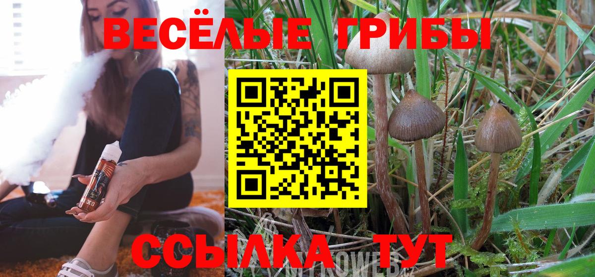 Отрадный  Галлюциногенные грибы Psilocybe  Вход с VPN  Псилоцибиновые грибы мицелий 
