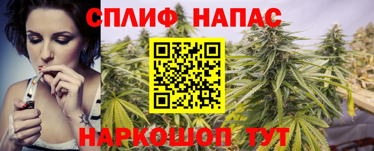 Каннабис индика Отрадный